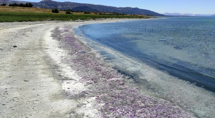 Burdur Gölü mor renge büründü!