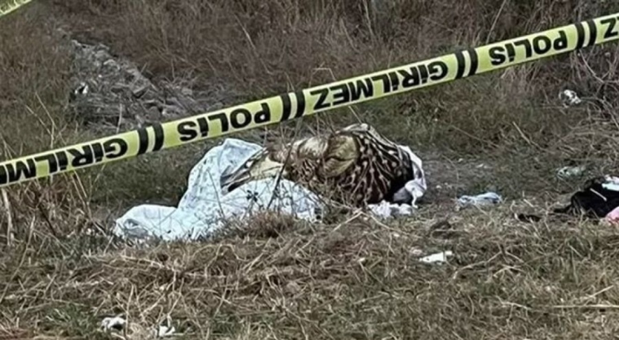 Sevgilisini fare zehri vererek öldüren caninin savunması kan dondurdu!