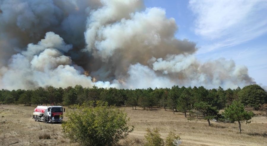 Tekirdağ'da orman yangını kontrol altına alındı