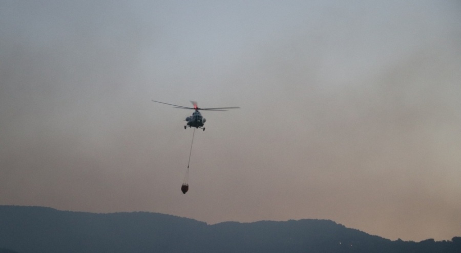 Kocaeli'de çıkan orman yangını kontrol altına alındı