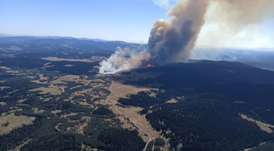 2 ilde orman yangını çıktı