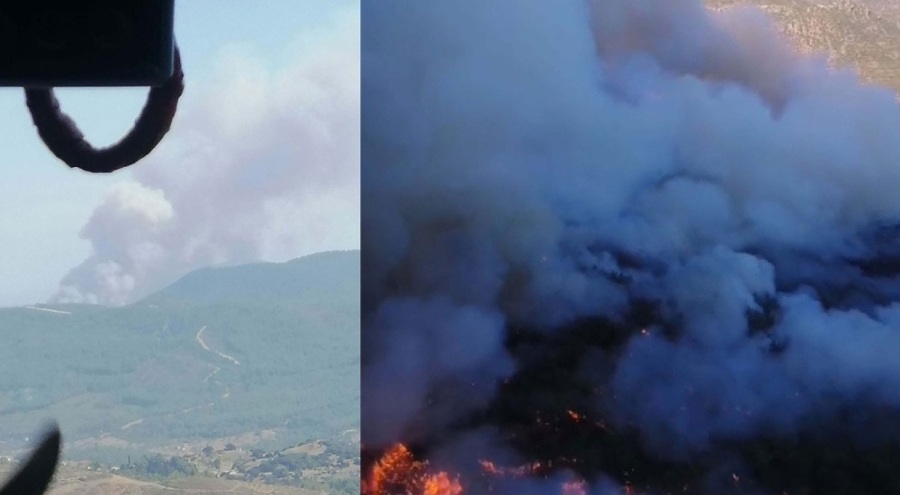 İzmir'de korkutan orman yangını!