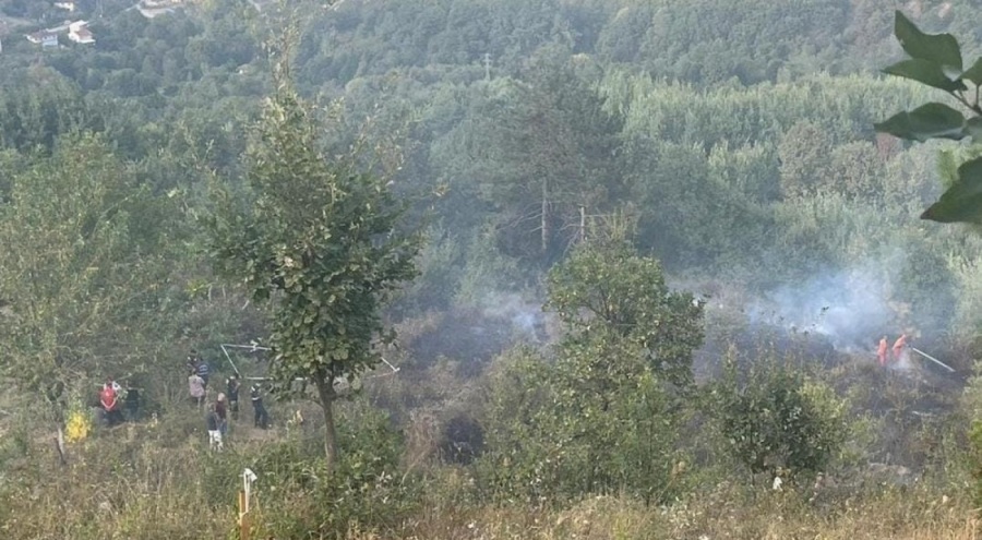 Bursa'da bahçesindeki çalıları ateşe veren kişi dumandan zehirlenerek hayatını kaybetti