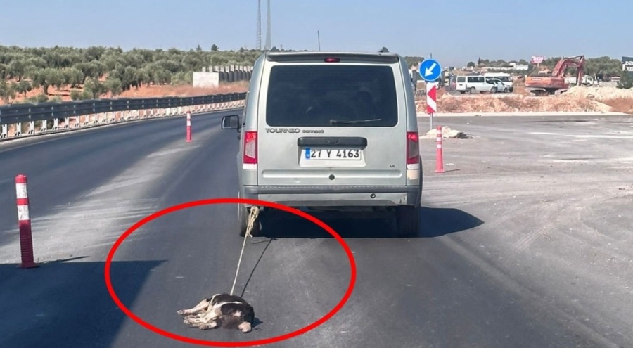 Aracına bağladığı köpeği, metrelerce sürükledi
