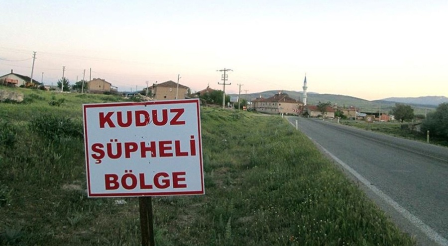 Sahibini ısıran köpek kuduz çıktı: 3 köy karantinaya alındı