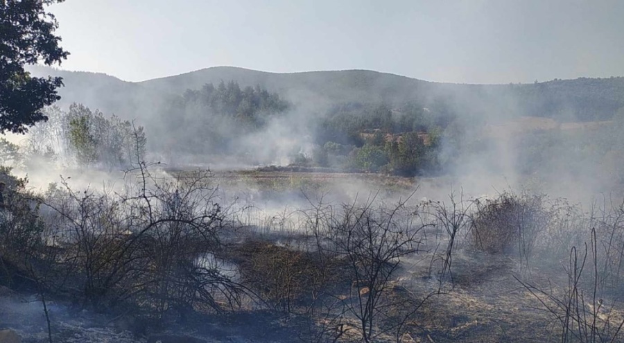 Bursa'da tarım arazisinde yangın çıktı!