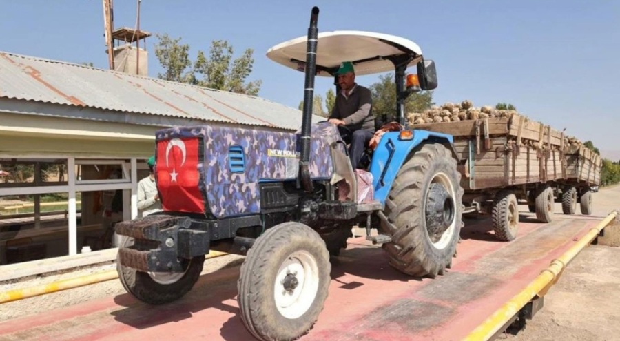 Şeker pancarı alım kampanyası başladı