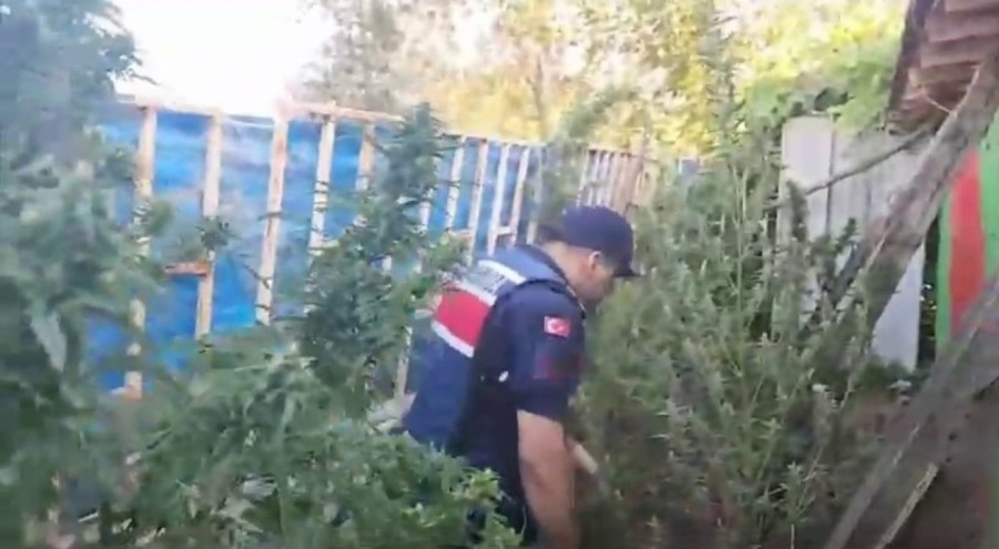 Sakarya'da 5 ilçede uyuşturucu operasyonu! Çok sayıda gözaltı