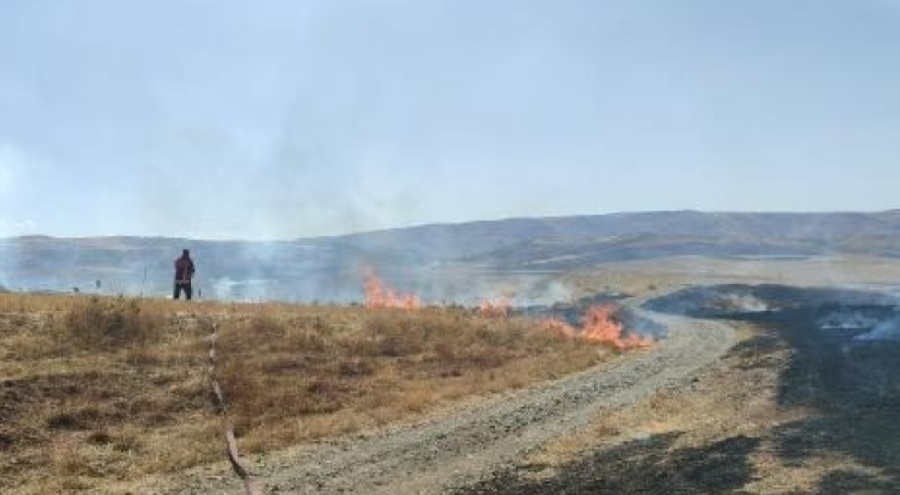 Anız yangını sonucu 50 dönüm arazi zarar gördü