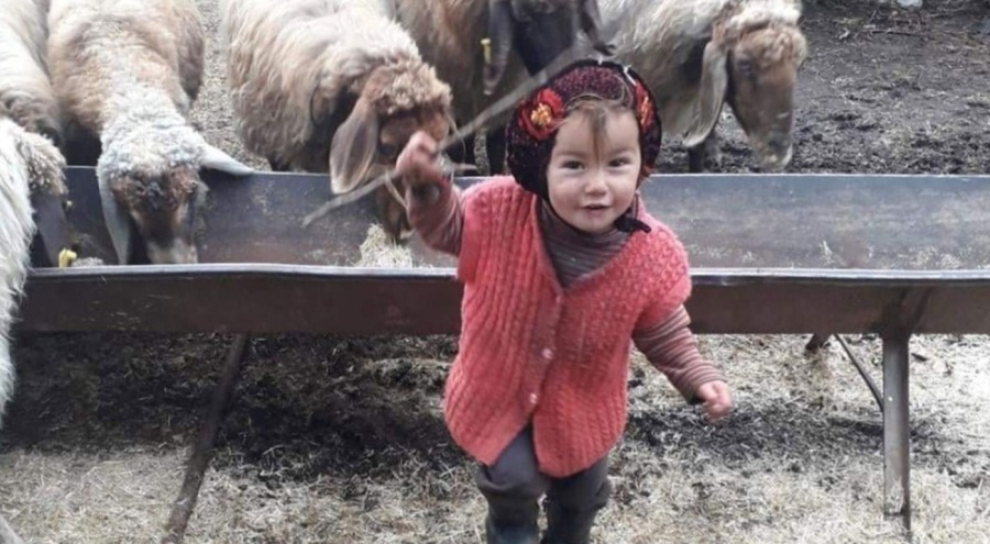 3 yaşındaki Müslüme'nin cinayet davasında flaş gelişme!