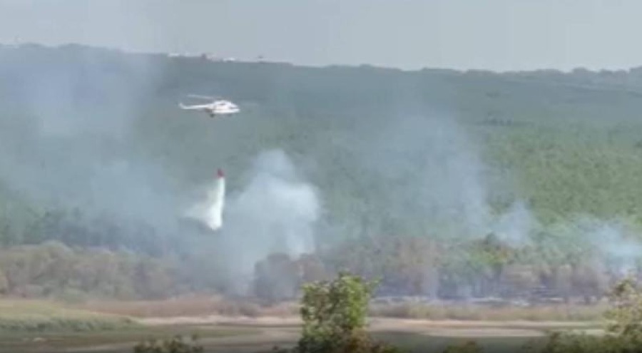 İstanbul'da ormanda yangın çıktı