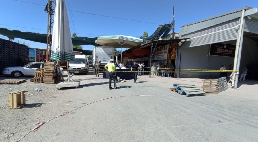 Binmeye çalıştığı kamyonun altında ezilerek can verdi