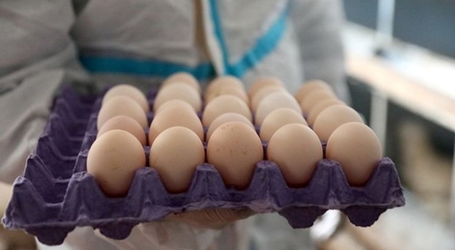 Yumurtanın fiyatı bir yılda ikiye katlandı: 120 TL'ye kadar çıktı!