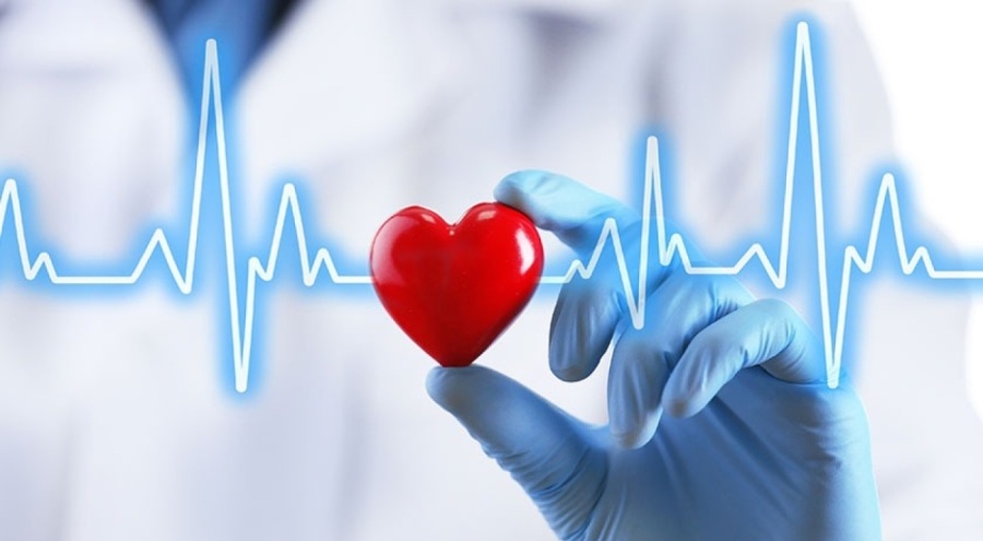 Bursa Uludağ Üniversitesine Organ Nakli Merkezi inşa ediliyor