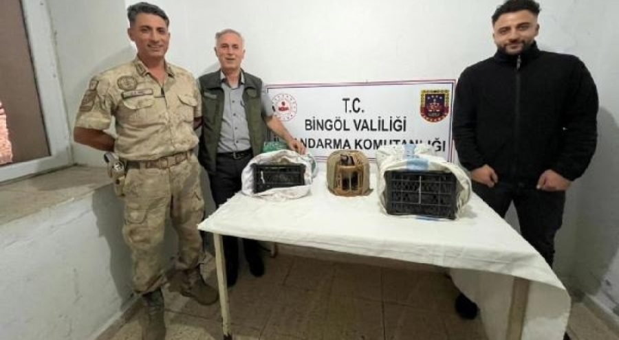 Yasa dışı keklik avına 34 bin TL ceza