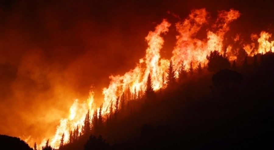 İtalya'da orman yangını! Ölüler var