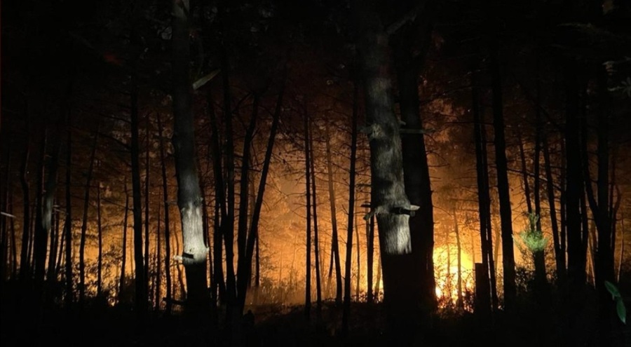 İstanbul'da çıkan orman yangını söndürüldü