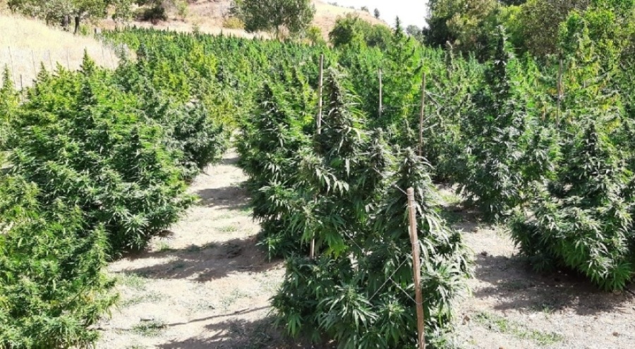 Diyarbakır'da operasyon! Çok sayıda uyuşturucu ele geçirildi