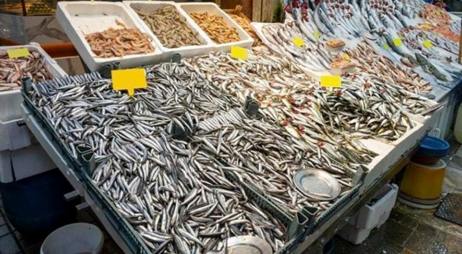 Akdeniz'de av yasağı sona erdi! Balık fiyatları ucuzladı