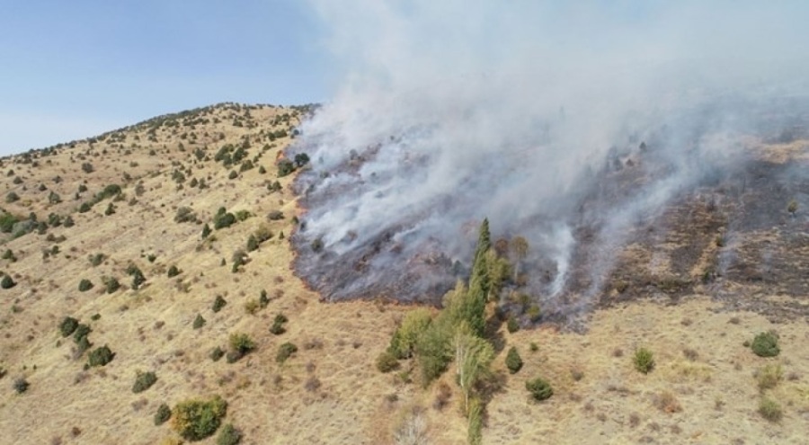 Sivas'ta korkutan yangın!