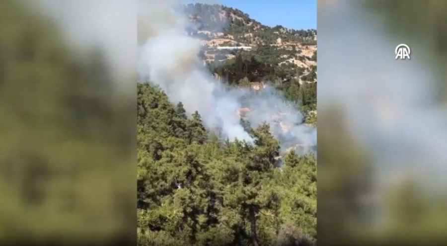 Antalya'da orman yangını!