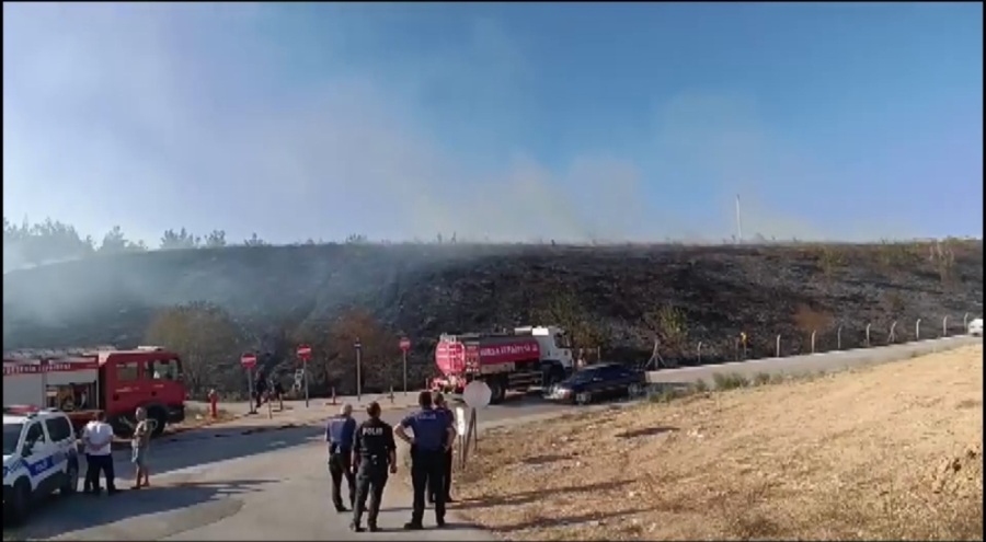 Bursa'da gençlerin tehlikeli oyunu ormanı yakacaktı!