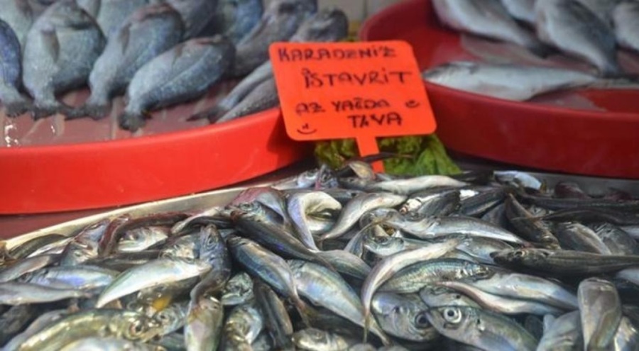 Hamsi bolluk yaşanıyor! Fiyatlar düştü