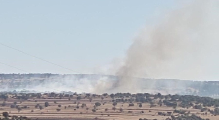 Eskişehir'de orman yangını sürerken, Muğla'da orman yangını kontrol altına alındı