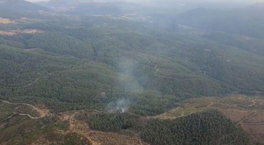 Manisa'da orman yangını