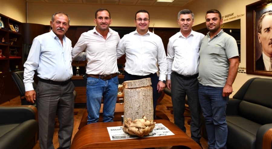 Bursa Mustafakemalpaşa'da mantar üretimine destek