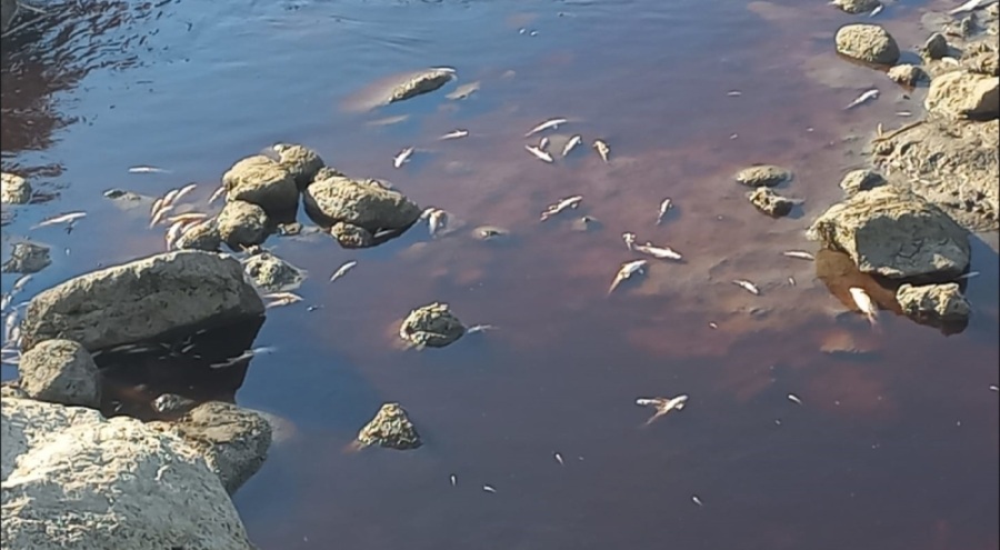 Karasu Çayı'ndaki renk değişimi için inceleme başlatıldı