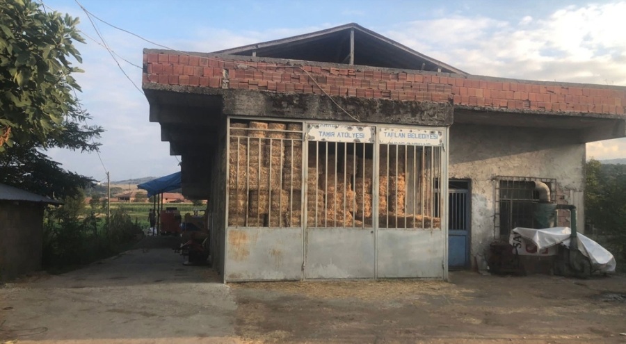 Miras kavgası nedeniyle kuzeninin 4 büyükbaş hayvanını vurarak öldürdü