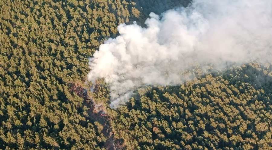 Hatay'da orman yangını!