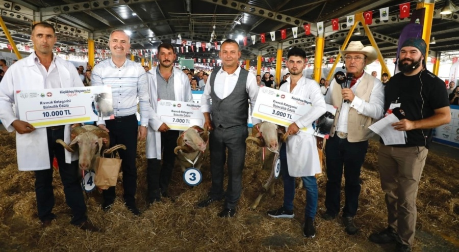 Bursa İnegöl'de Küçükbaş Hayvancılık Festivali başlıyor