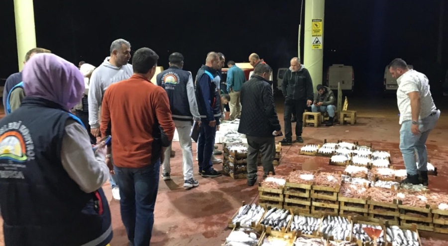 Bursa'da balık haline denetim!