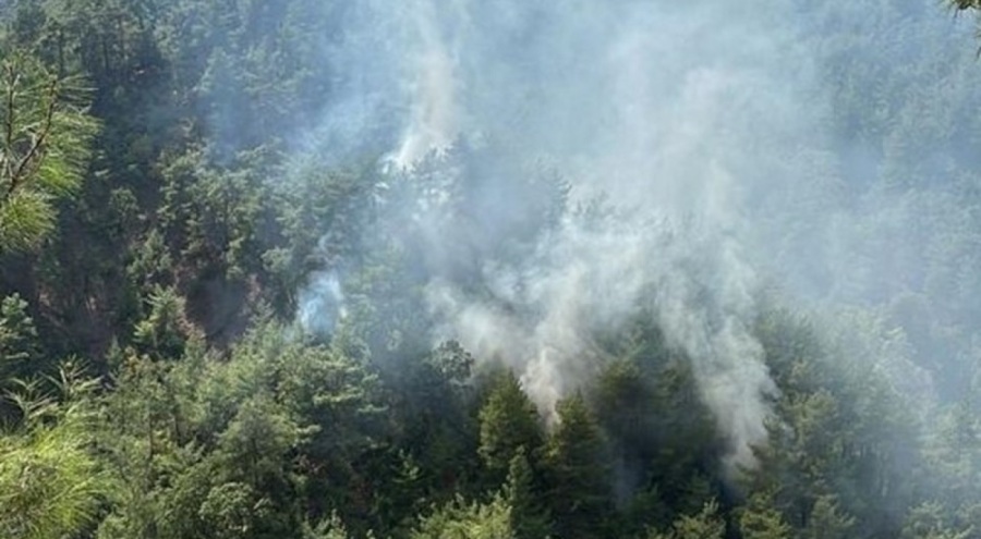 Adana'daki orman yangınları kontrol altına alındı