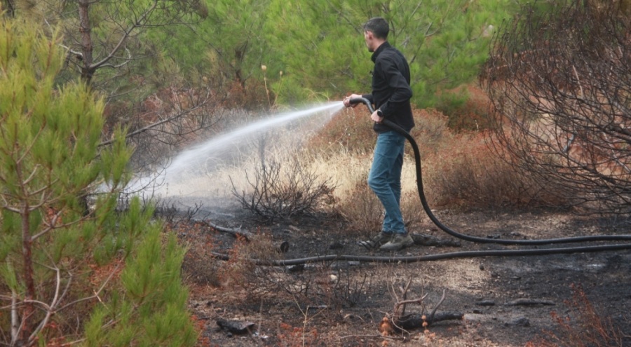 Kazdağları'nda çıkan orman yangını söndürüldü