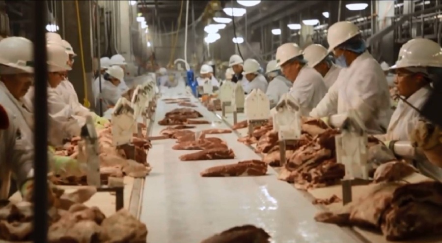 Dünyanın en büyük et şirketi, İtalya'nın tamamından daha fazla emisyon üretiyor!