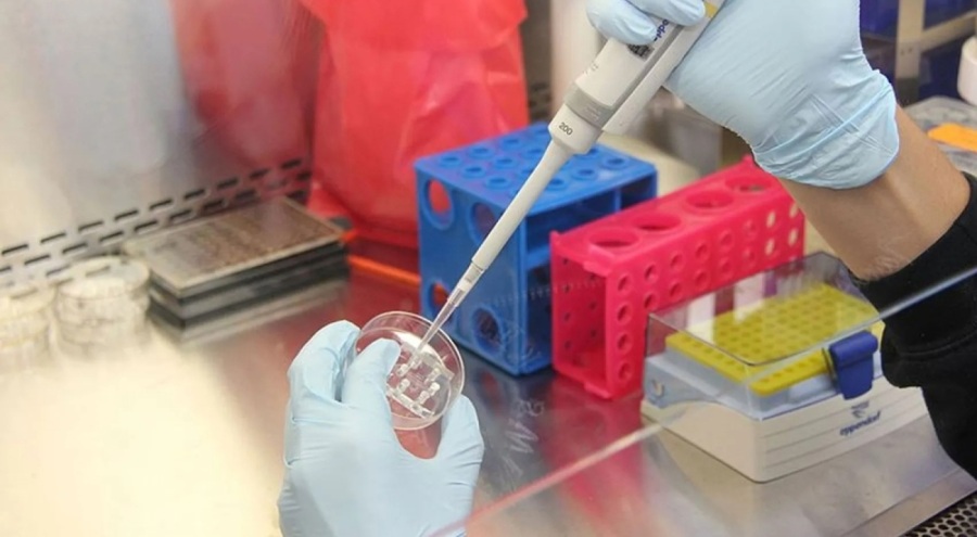 Test merkezlerinde yoğunluk yaşanıyor