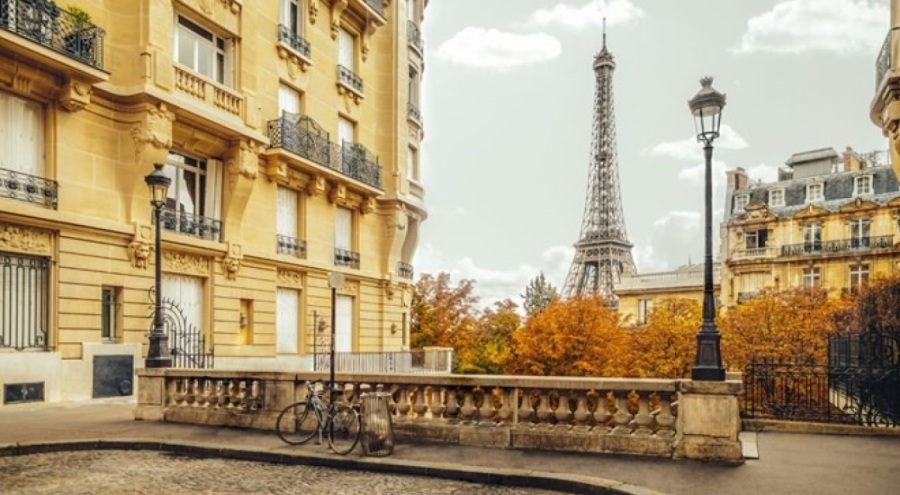 Paris'i tahtakuruları bastı