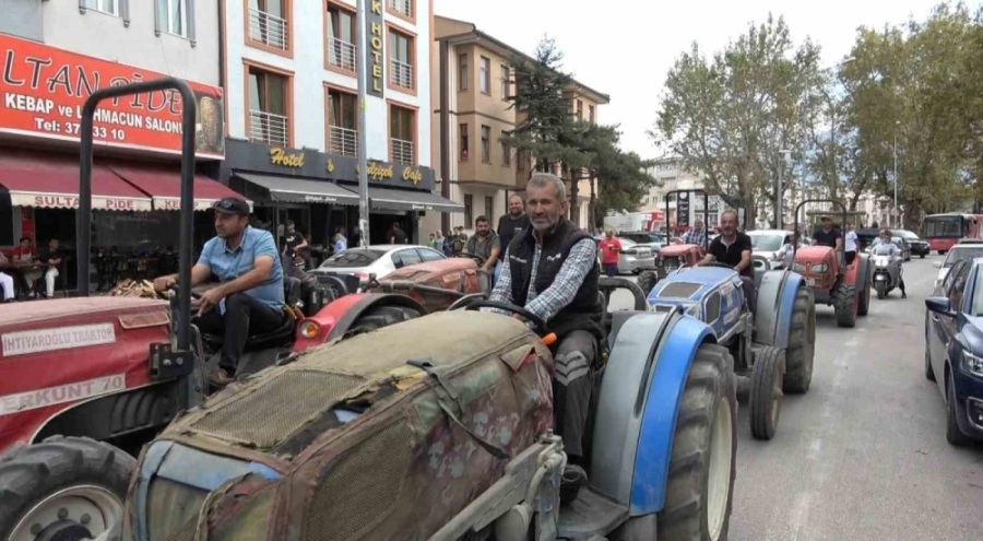 Gürsu'da 24'üncü Kültür Sanat ve Armut Festivali başladı