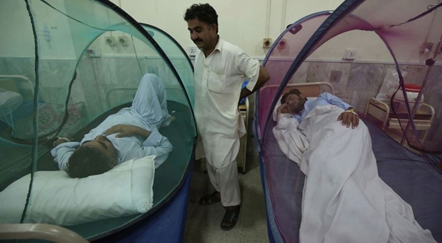 Dang hummasında can kaybı sayısı yükseliyor