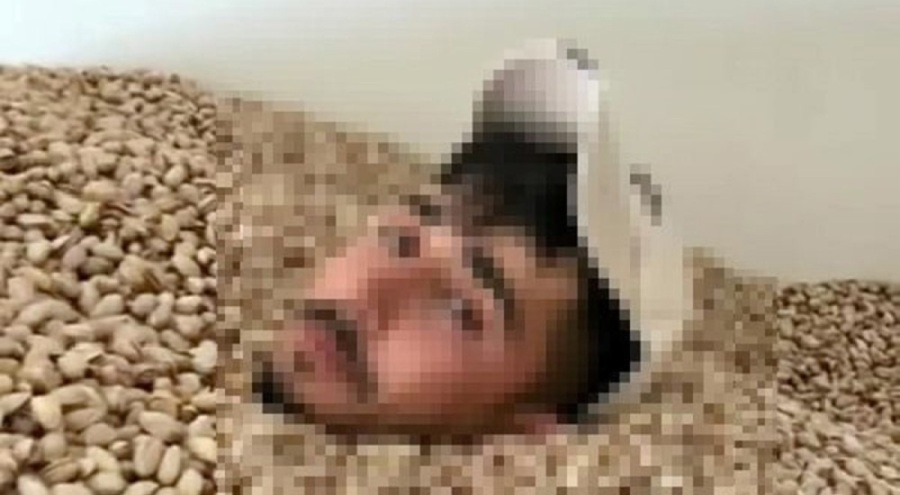 Siirt'te skandal görüntüler! Fıstıkların içinde yüzüp tükürdü