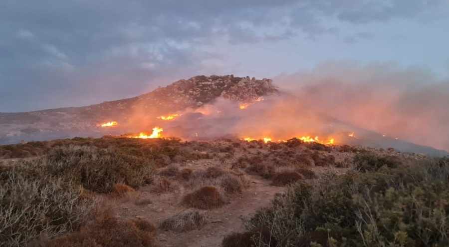 Bodrum'da 60 dönüm otluk ve makilik yandı
