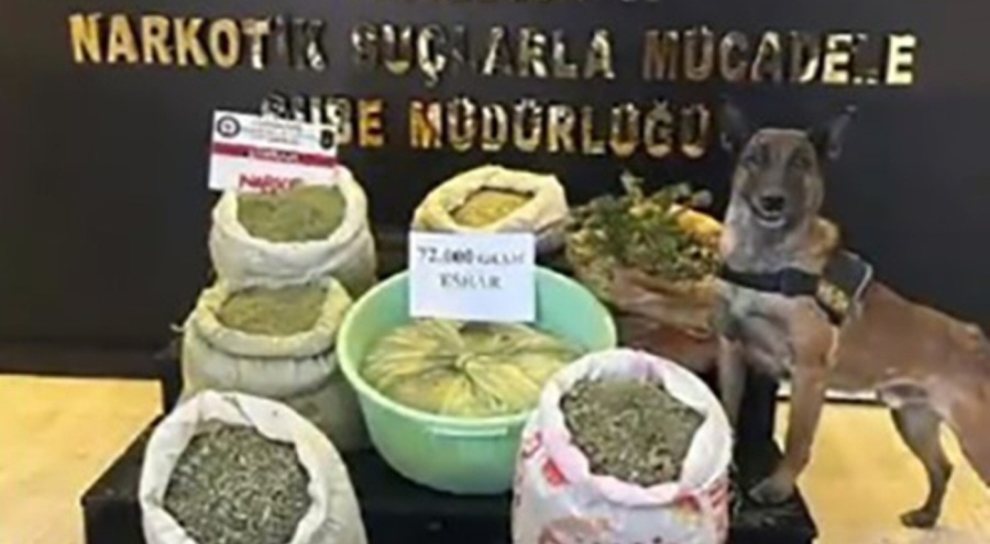 Hakkari'deki operasyonda 73 kilo esrar, 90 kök kenevir ele geçirildi