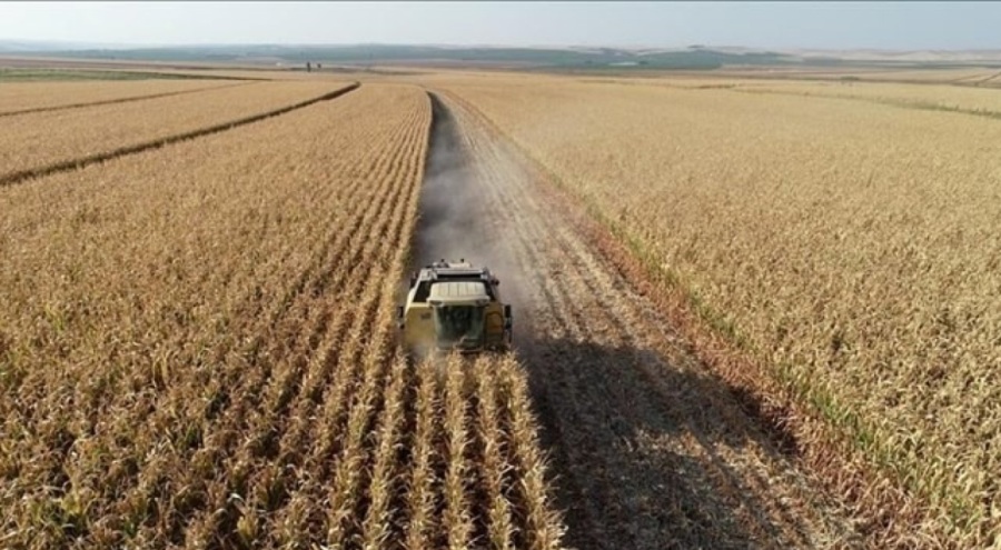 Hububatta mazot ve gübre desteği bu yıldan itibaren ödenecek