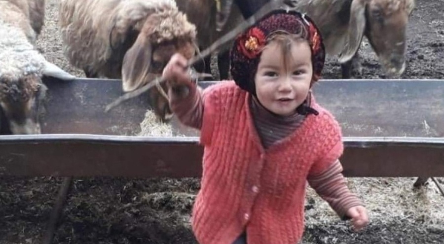 3 yaşındaki Müslüme'nin ölümüne ilişkin davada mütalaa açıklandı