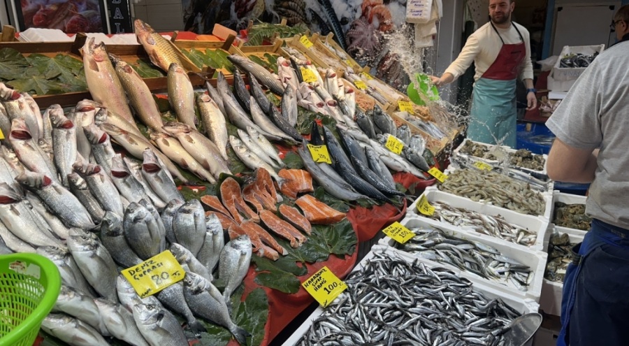 Tezgahlarda hamsi bolluğu devam ediyor