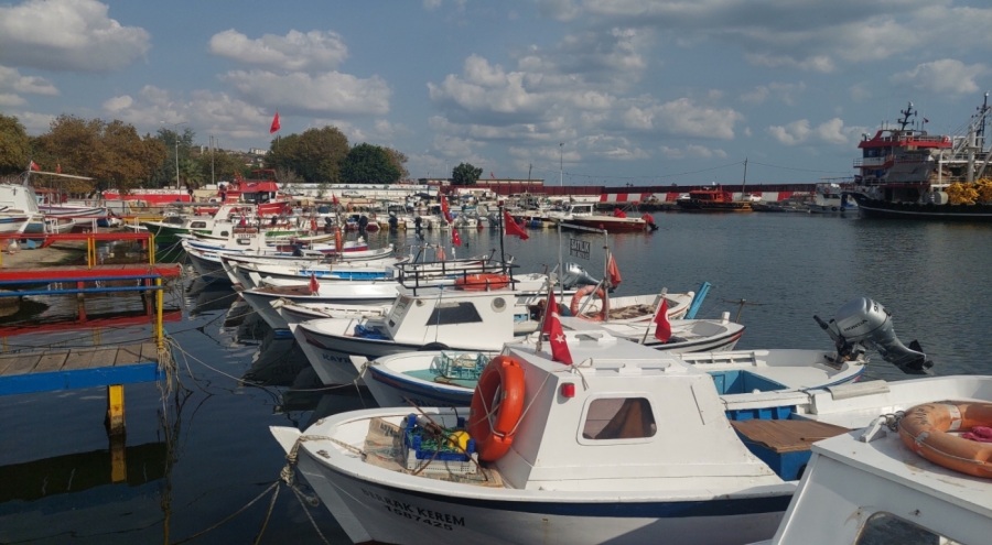Hamsi bolluğu tayfaları Marmara'ya akın ettirdi