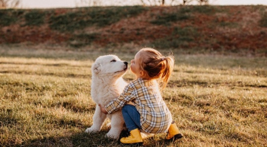 4 Ekim Hayvanları Koruma Günü kutlu olsun!